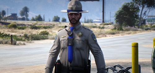 Ohliamr Addon Lspd Sahp Bcso Pack Eup Files Launcherleaks