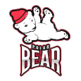 PolarBear1