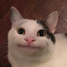 kopimaks