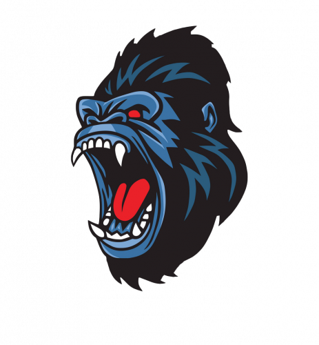 More information about "CXD Scripts"