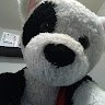 coolprogamer14