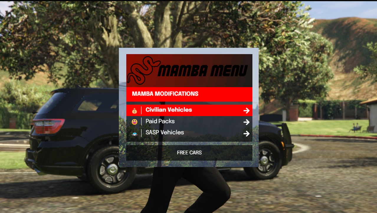 More information about "Mamba-Mods Car menu (rare) Never seen before leak"