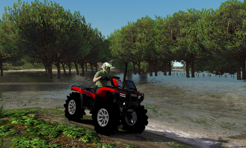 More information about ""