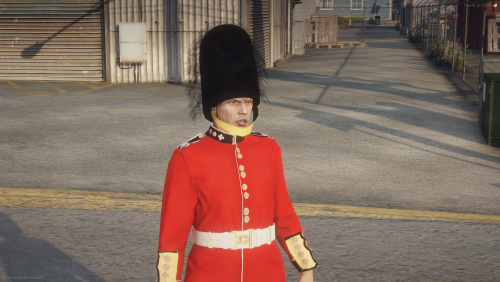 More information about "Queens Guard EUP"