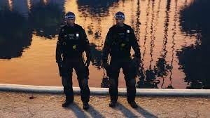 More information about "UK ARV EUP"