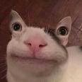 Deretol