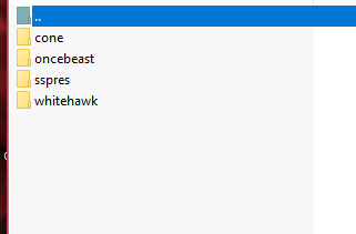 More information about "Government Cars"