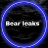Bear Leaks