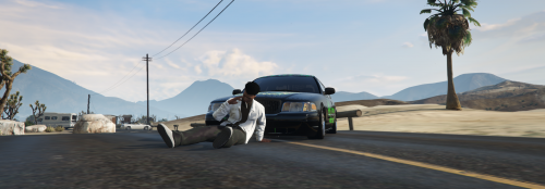 More information about "Ford Crown Victoria Weed Edition"