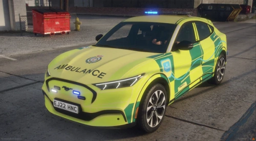 More information about "[ELS] 2022 LAS Mustang Mach E (FRU)"