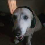 Rjeck