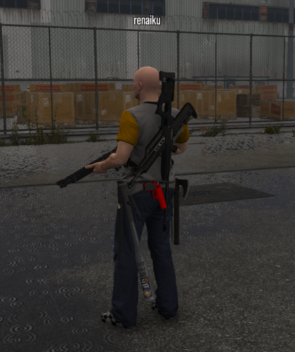 More information about "REEL WEAPONS - [ESX]"