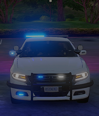 More information about "homelang 18 charger with legacy lightbar"