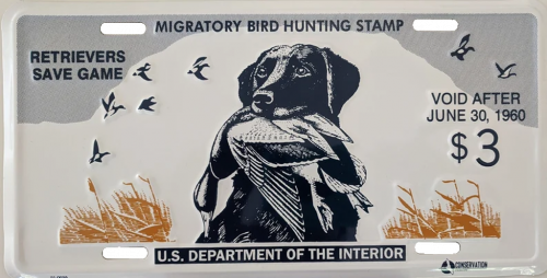 More information about "Lol Clapped Trash You Aint Nun Come Find Me Yk Who I Am And This Aint MLG L"