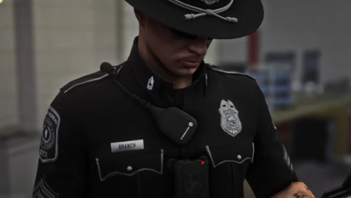 Reckle Mods Collar Rank EUP Pack - EUP Files - LauncherLeaks