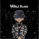 waliblazerr