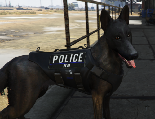 FiveM Read | Police K9 German Shepherd Ped | Made drag and drop ready ...