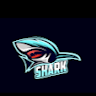 Shark12345