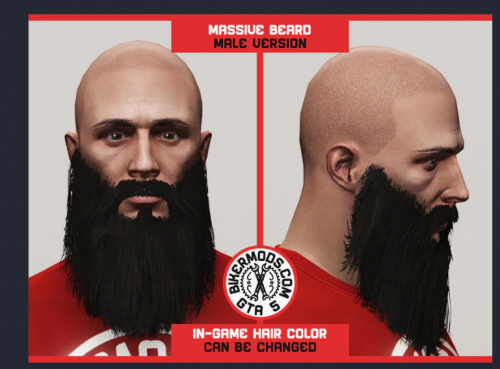 More information about "Bikermods AM-Longbeard | FiveM"
