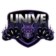 More information about "Unive Dump med stream filer (this is swedish)"