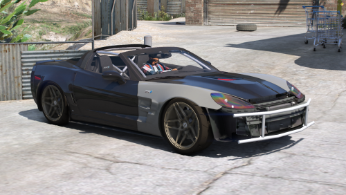 More information about "Gay A$$ C6"