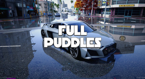 More information about "Full Puddles MOD for FiveM"