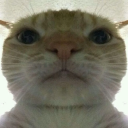 Vojtas99669695tg9g5n