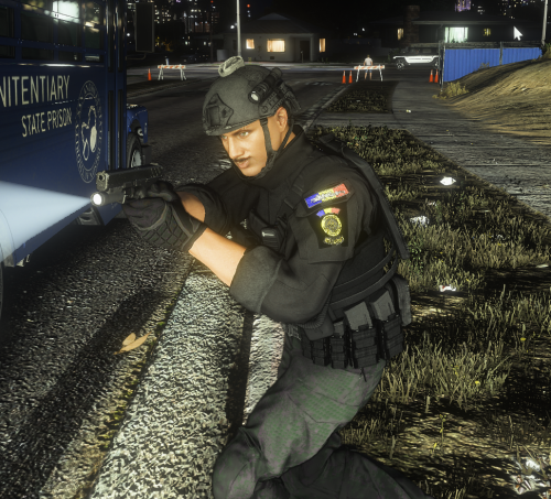 More information about "S.R.I. Brigada AntiTero"