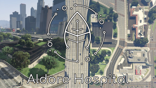 More information about "Aldore Hospital | $60 leak"