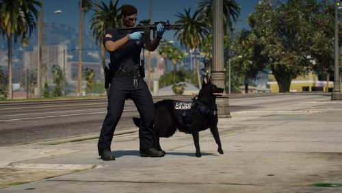 More information about "Riley K9 Ped (WORKING)"