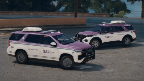 More information about "EMS Sprinter Pack - Ripples Development"