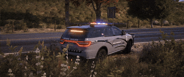 More information about "GSD Pursuit Pack"