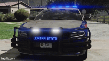 More information about "Southern Upfitters GSP #134 Charger"