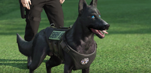 More information about ""