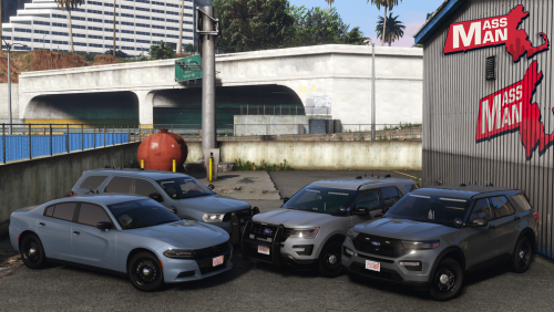 More information about "Whelen Unmarked Collection"