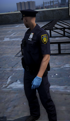 More information about "Vega's Order and Suppression LCPD EUP"