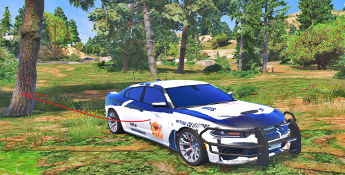 More information about "srt staff"