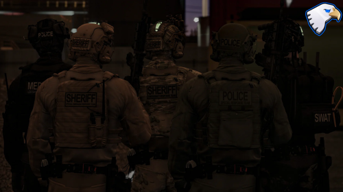 More information about "Everything from THS for swat rp (singleplayer + fivem)"