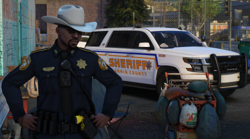 More information about "Luca Designs - Harris County Sheriff EUP Pack"