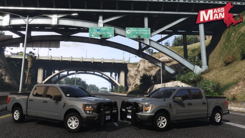 More information about "MassMan MSP 2023 F150's"