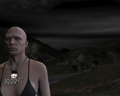 More information about "Hoochie Land Leaked Files"