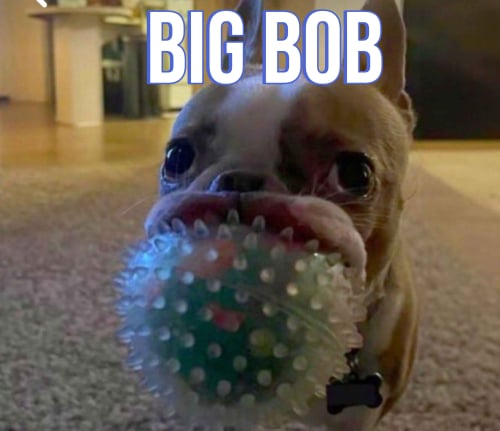 More information about "MC YELLOW JACK CLUBBY NEVER BEFORE LEAKED (RARE)"