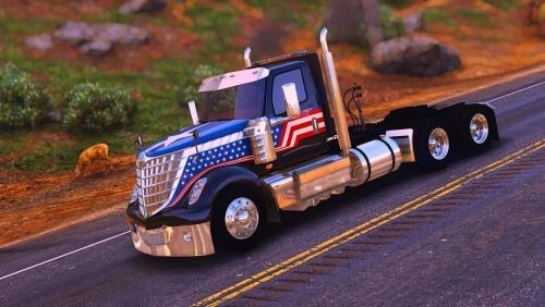 More information about "Baggeds 2020 International Lonestar"