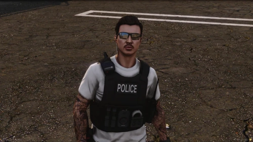 More information about "Fosta Federal Carrier"