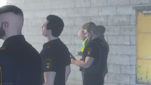 More information about "Swedish Tull Customs SP/FiveM"