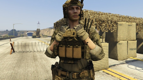 More information about "CAG D sqdrn pack"