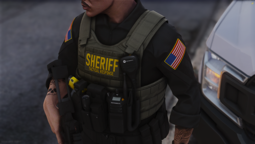 More information about "pyro rts carrier"