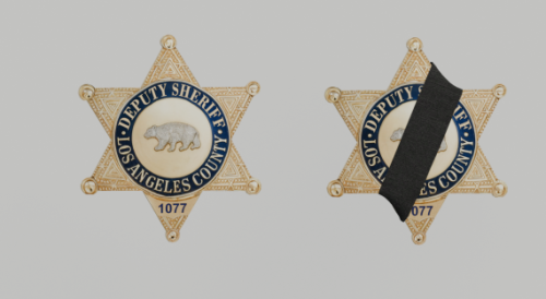 More information about "[ George's Hub ] LSSD Badge | LASD version"