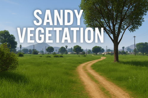 More information about "Sandy Vegetation"