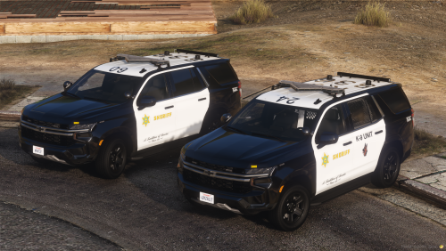 More information about "Nathan's LASD 2024 Tahoes"